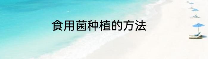 食用菌种植的方法