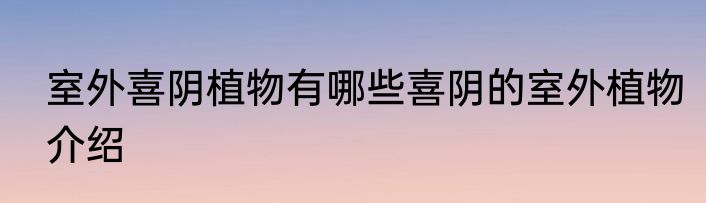 室外喜阴植物有哪些喜阴的室外植物介绍