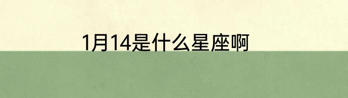 1月14是什么星座啊