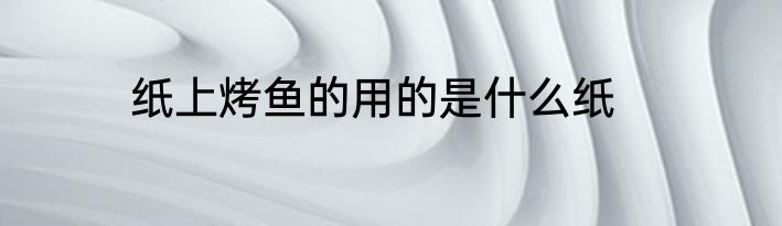 纸上烤鱼的用的是什么纸