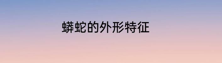 蟒蛇的外形特征