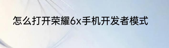 怎么打开荣耀6x手机开发者模式
