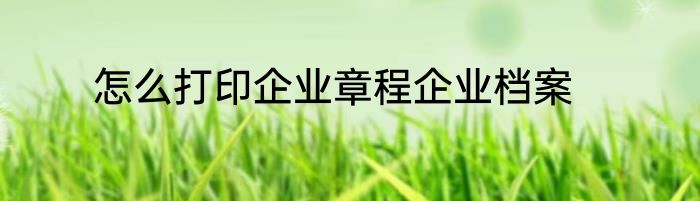 怎么打印企业章程企业档案