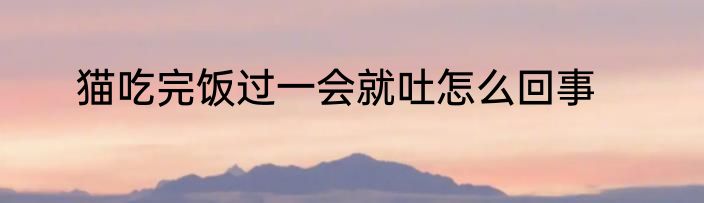 猫吃完饭过一会就吐怎么回事