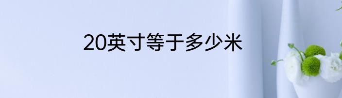 20英寸等于多少米