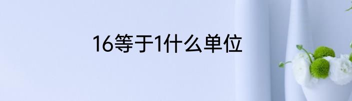 16等于1什么单位