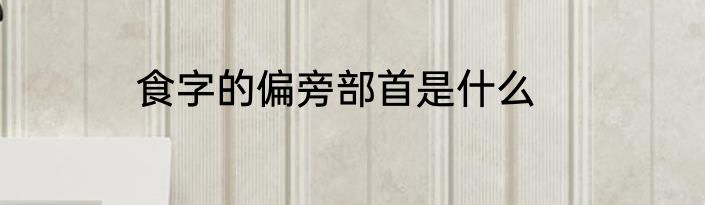 食字的偏旁部首是什么