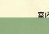 室内种菜教程