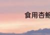 食用杏鲍菇的5大禁忌