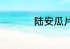 陆安瓜片的功效与作用