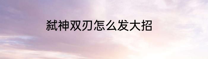 弑神双刃怎么发大招
