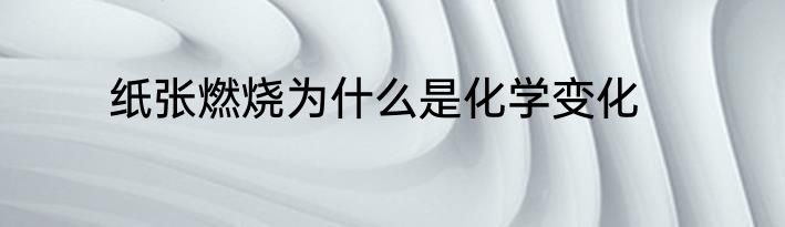 纸张燃烧为什么是化学变化