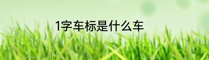 1字车标是什么车