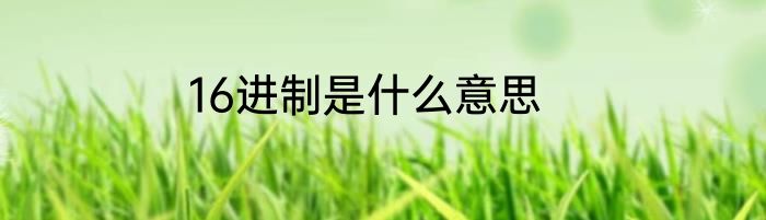 16进制是什么意思