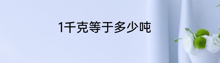 1千克等于多少吨