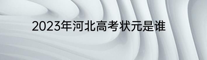 2023年河北高考状元是谁