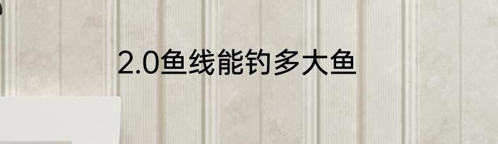2.0鱼线能钓多大鱼