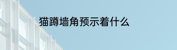 猫蹲墙角预示着什么