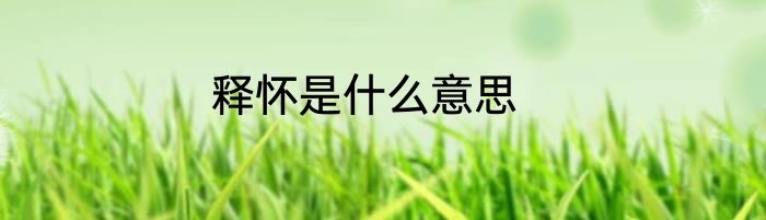 释怀是什么意思