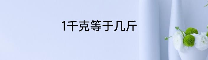 1千克等于几斤