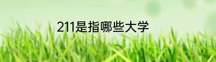 211是指哪些大学