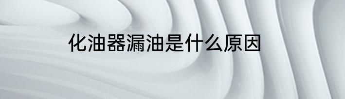 化油器漏油是什么原因