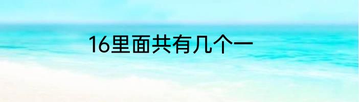 16里面共有几个一