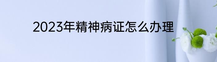 2023年精神病证怎么办理