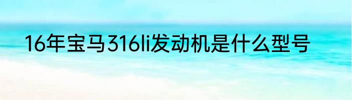 16年宝马316li发动机是什么型号