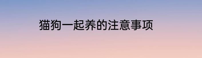 猫狗一起养的注意事项