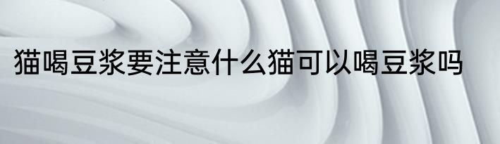 猫喝豆浆要注意什么猫可以喝豆浆吗