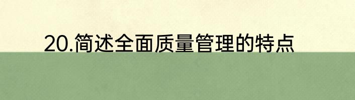 20.简述全面质量管理的特点