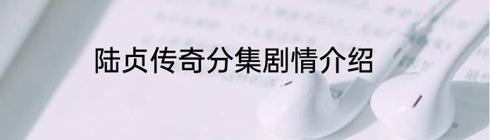 陆贞传奇分集剧情介绍