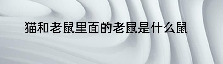 猫和老鼠里面的老鼠是什么鼠