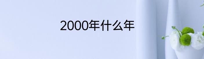 2000年什么年