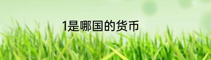 1是哪国的货币