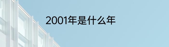 2001年是什么年