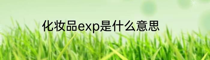 化妆品exp是什么意思