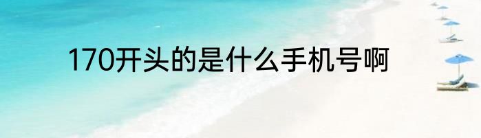 170开头的是什么手机号啊