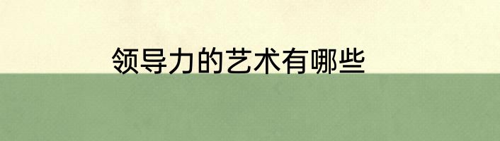 领导力的艺术有哪些
