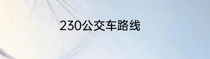 230公交车路线