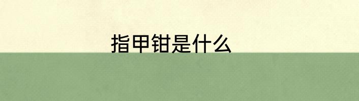 指甲钳是什么