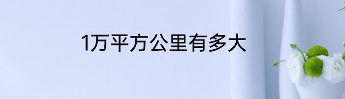 1万平方公里有多大