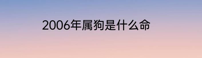 2006年属狗是什么命