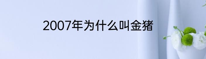2007年为什么叫金猪