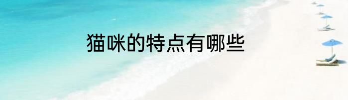 猫咪的特点有哪些