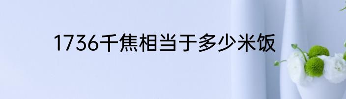 1736千焦相当于多少米饭