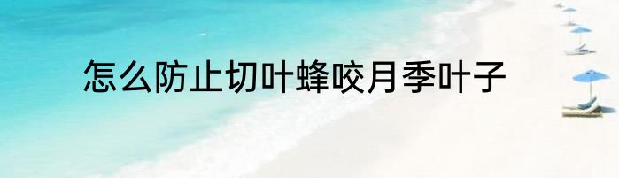 怎么防止切叶蜂咬月季叶子
