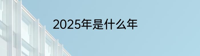 2025年是什么年
