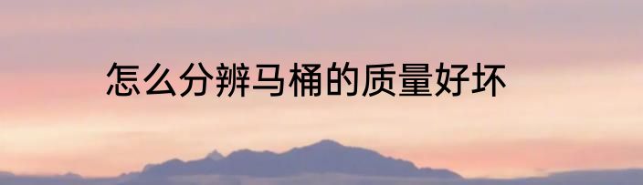 怎么分辨马桶的质量好坏